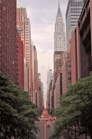 new york nyc GIF new york nyc GIF